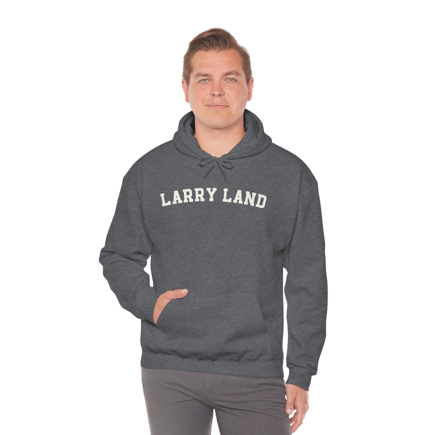 Unisex Heavy Blend™ Larry Land Hooded Sweatshirt