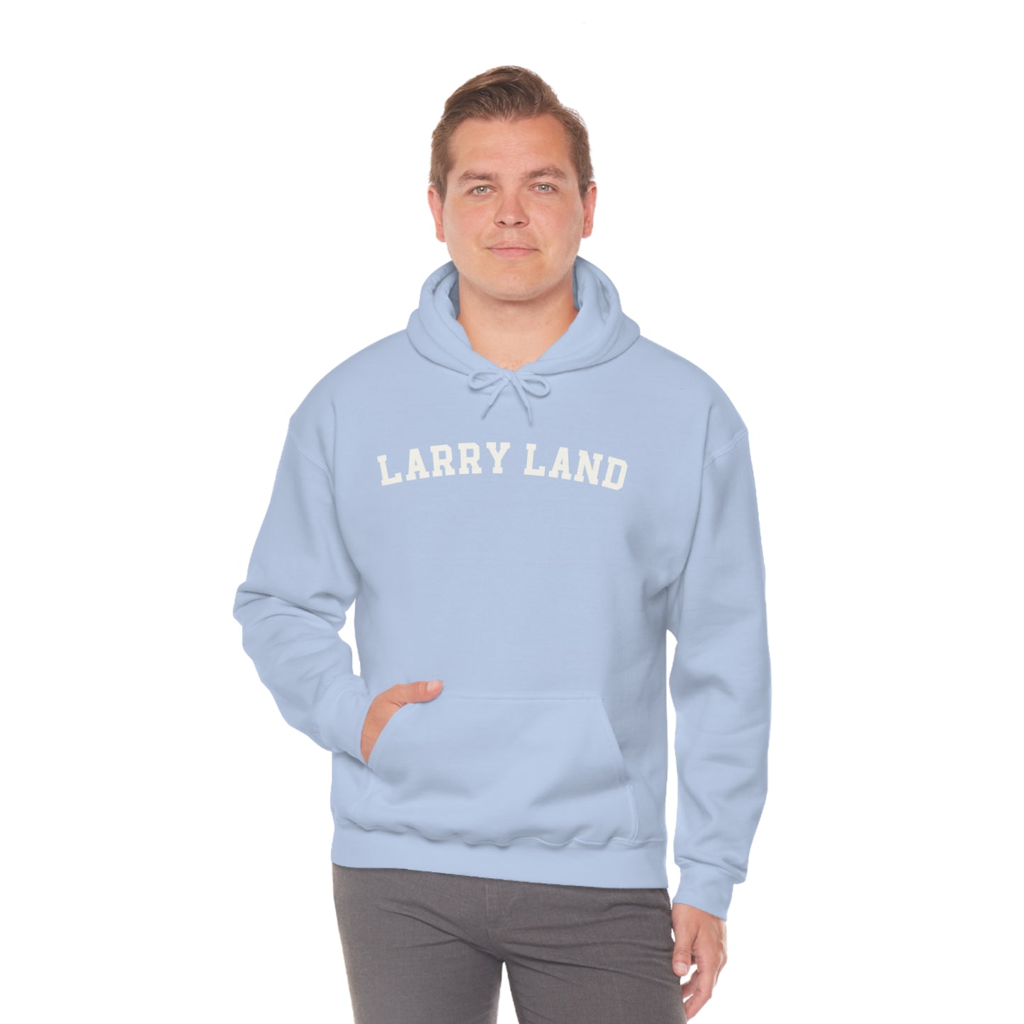 Unisex Heavy Blend™ Larry Land Hooded Sweatshirt