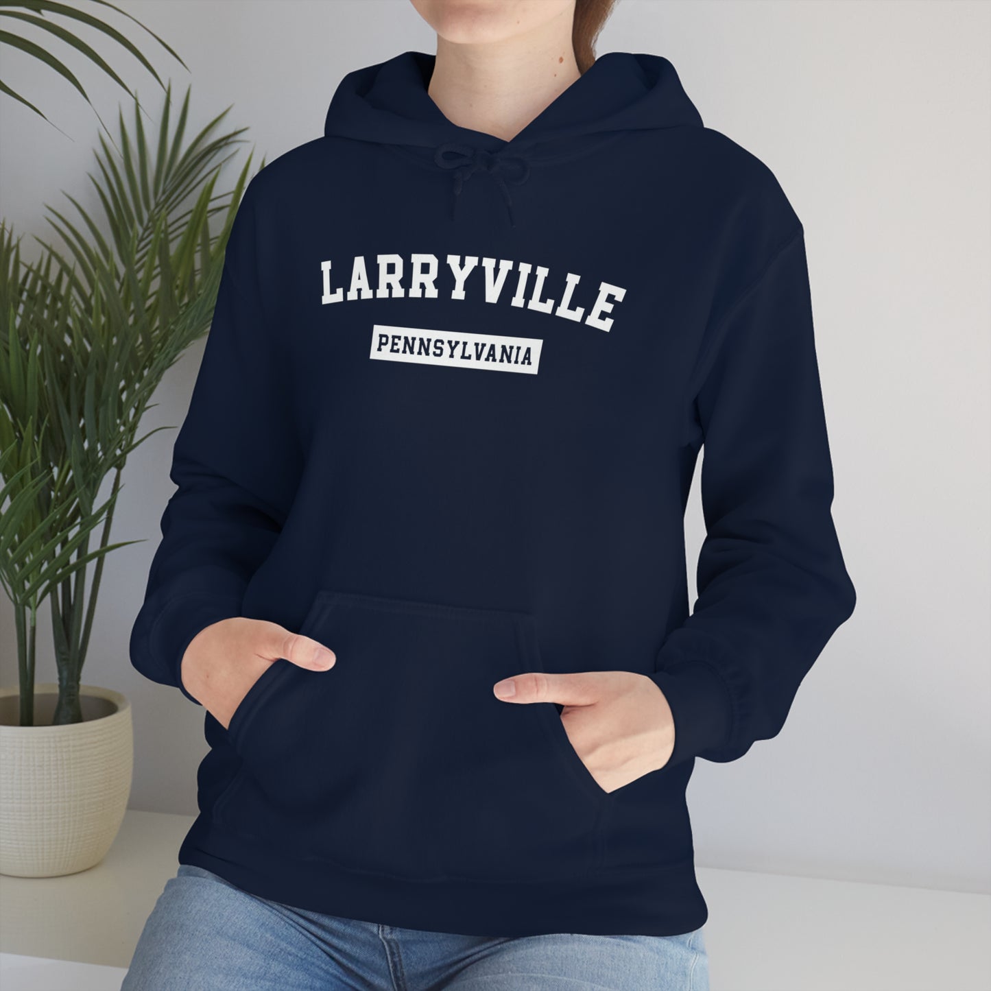 Larryville Pennsylvania Unisex Hoodie, Funny Lawrenceville Hooded Sweatshirt