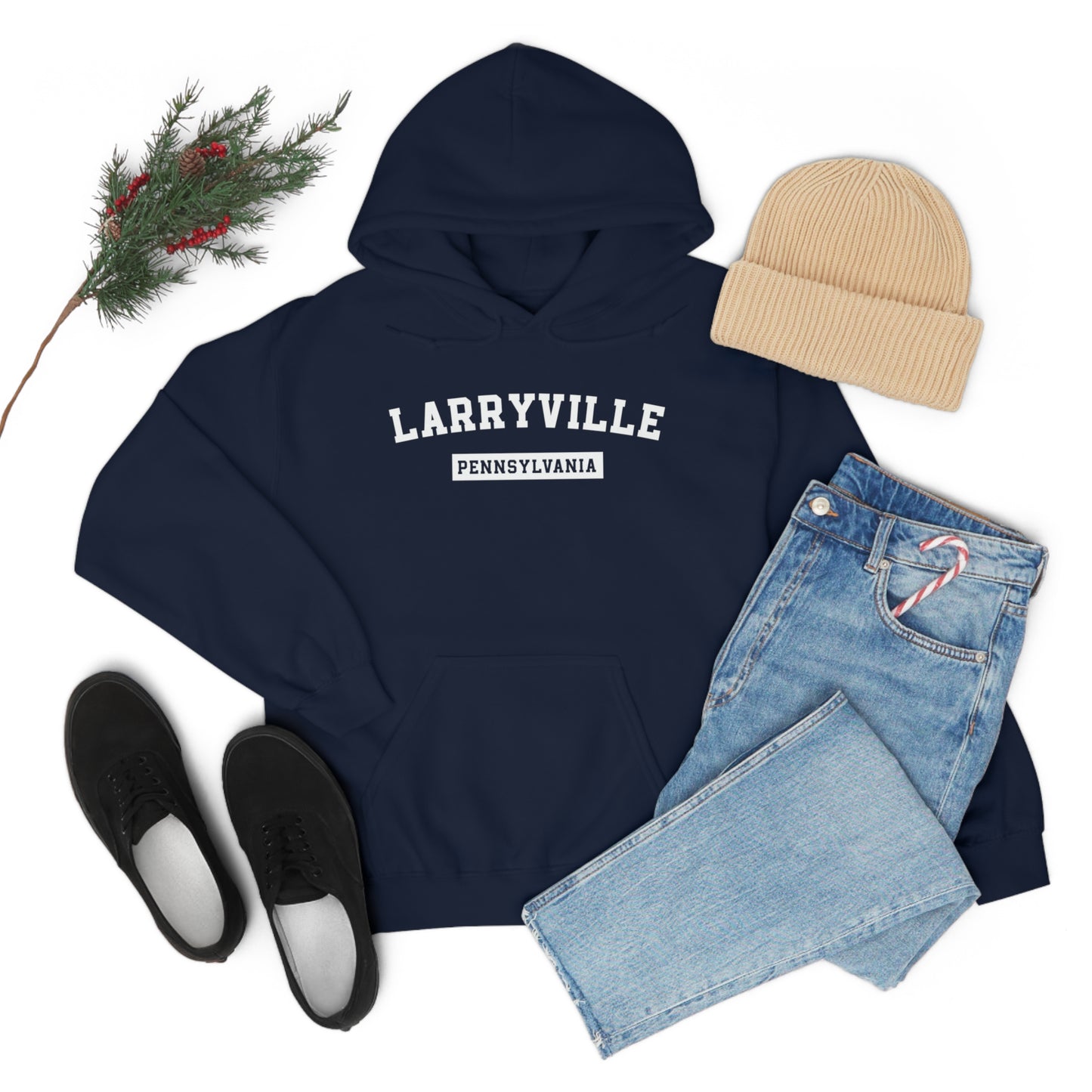 Larryville Pennsylvania Unisex Hoodie, Funny Lawrenceville Hooded Sweatshirt