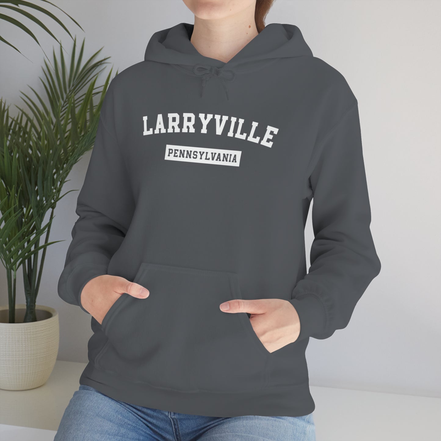 Larryville Pennsylvania Unisex Hoodie, Funny Lawrenceville Hooded Sweatshirt