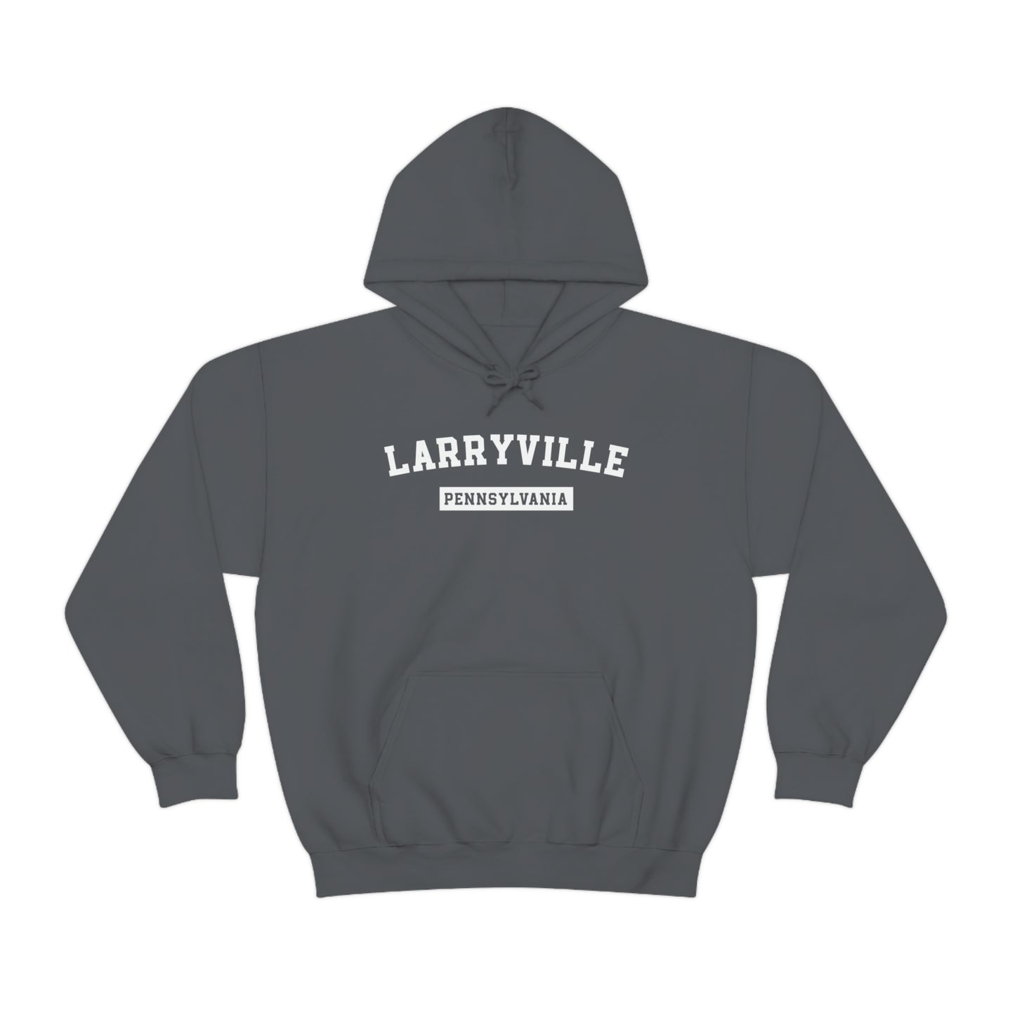 Larryville Pennsylvania Unisex Hoodie, Funny Lawrenceville Hooded Sweatshirt