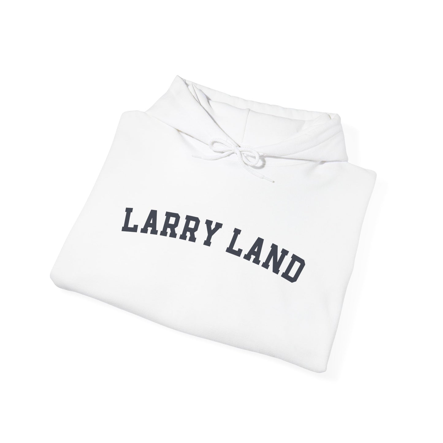 Larry Land Hoodie, Funny Larry Land Hooded Sweatshirt