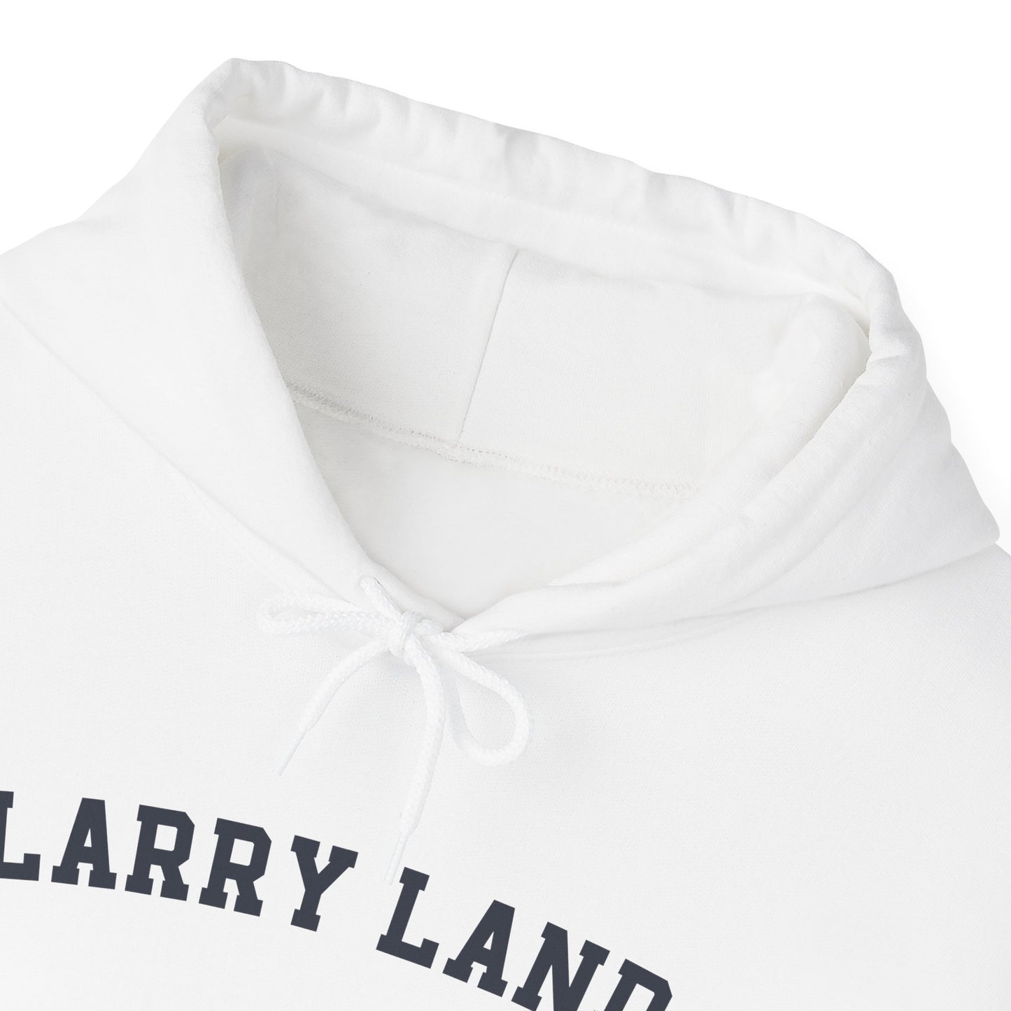 Larry Land Hoodie, Funny Larry Land Hooded Sweatshirt
