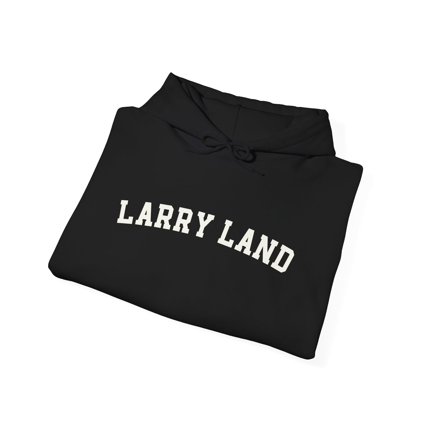 Larry Land Hoodie, Funny Larry Land Hooded Sweatshirt
