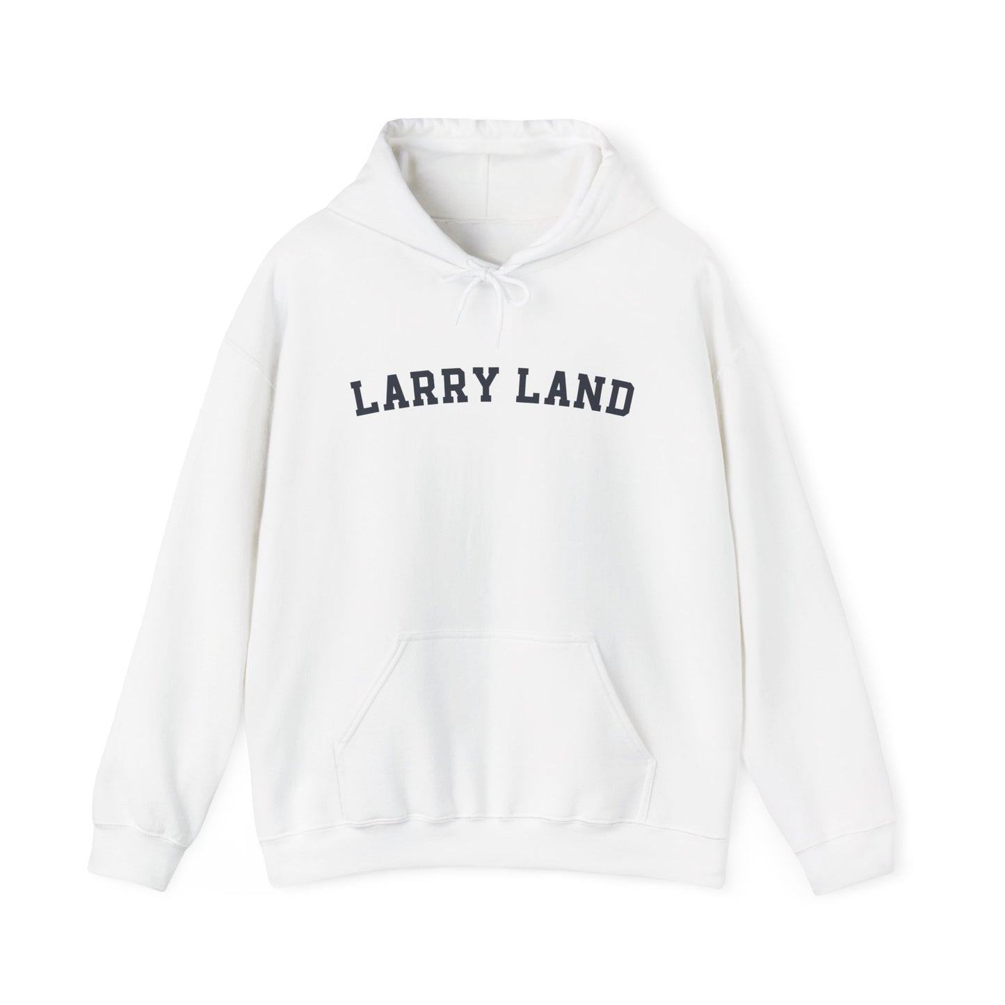 Larry Land Hoodie, Funny Larry Land Hooded Sweatshirt