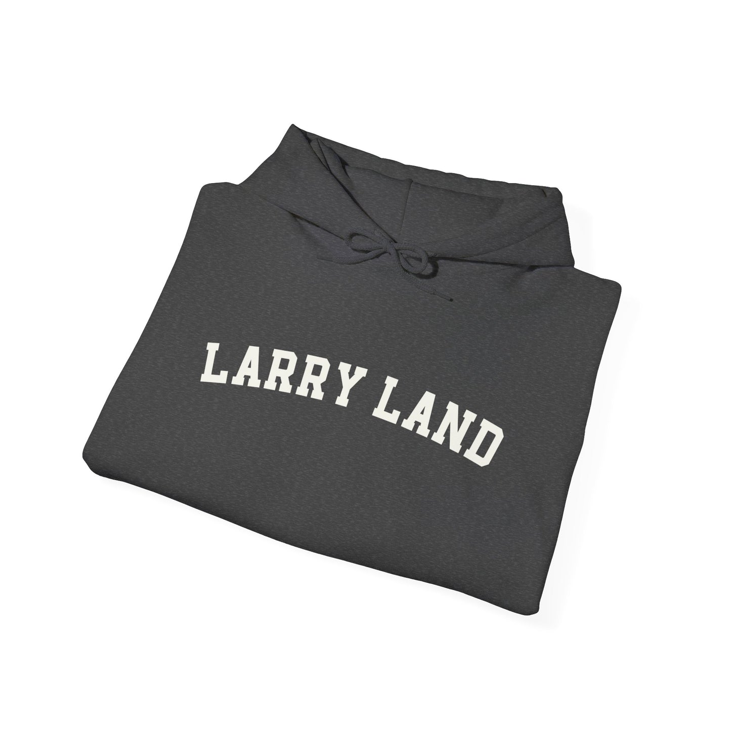 Larry Land Hoodie, Funny Larry Land Hooded Sweatshirt