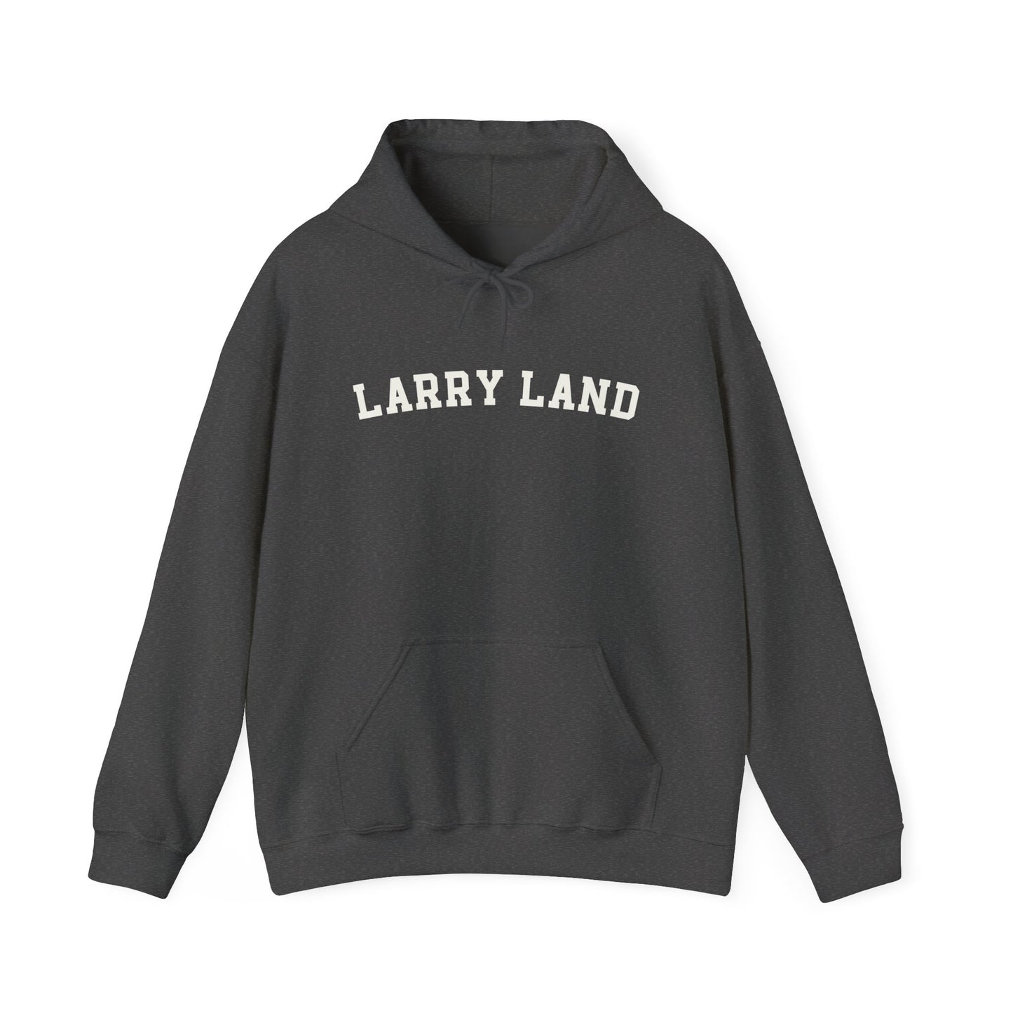 Larry Land Hoodie, Funny Larry Land Hooded Sweatshirt